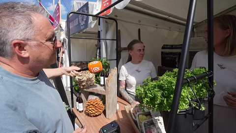 Anmelderen gruer seg til Gladmat