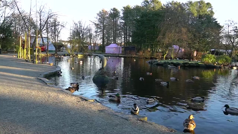 Fugleparken blir julepark