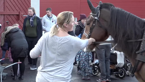 Hest var best på Øksnevad