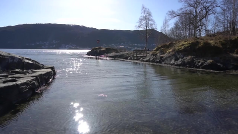 Bli med på fridykking og undervannsjakt