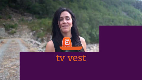 Økte seertall for TV Vest