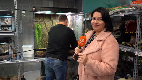 Norges første reptilmesse arrangeres på Forus