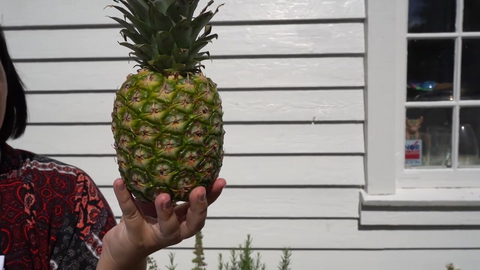 Inge Anda sin sommerburger med ananas