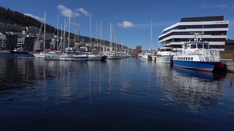 Pandemien har bidratt til større fokus på det grønne skiftet