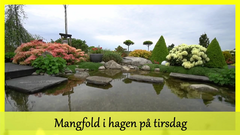 PROMO for Mangfold i hagen episode 8