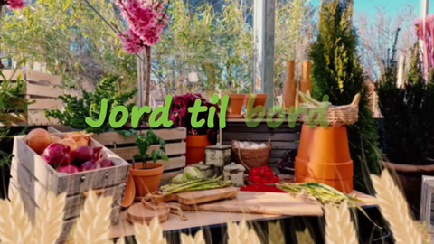 «Jord til bord» episode 8 Grilla salat