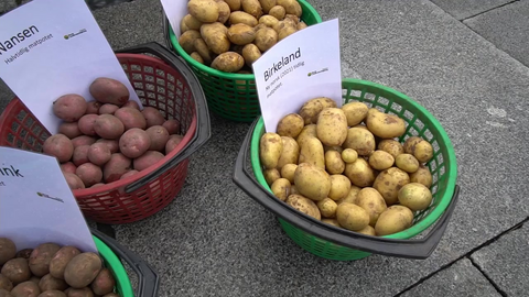 Årets potetfestival på Bryne