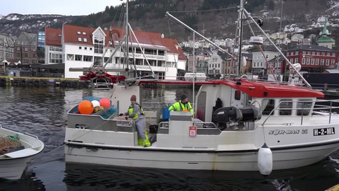 Nå kan du kjøpe fisk fra båt på Torget