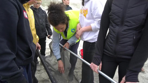 Grødem skole forsker på mikroplast