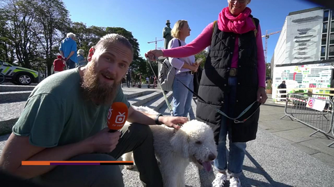 Leia er på sporet av Norgesmesterskap